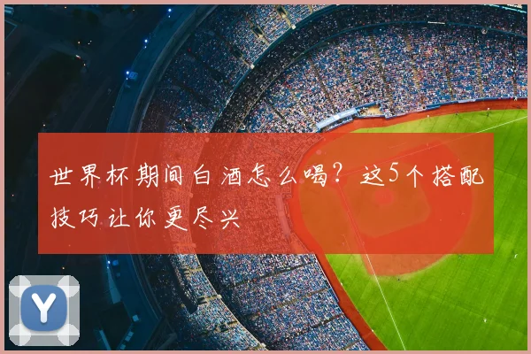 世界杯期间白酒怎么喝?这5个搭配技巧让你更尽兴