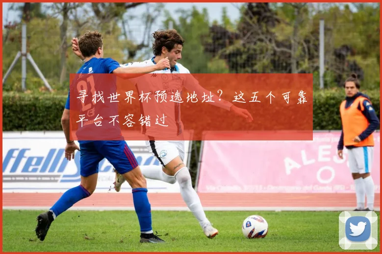 寻找世界杯预选地址？这五个可靠平台不容错过