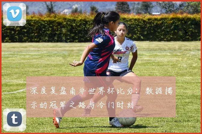 深度复盘南非世界杯比分：数据揭示的冠军之路与冷门时刻