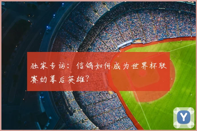 独家专访：信鸽如何成为世界杯联赛的幕后英雄？