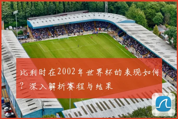 比利时在2002年世界杯的表现如何?深入解析赛程与结果