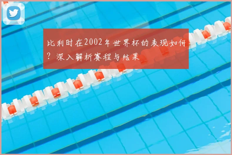 比利时在2002年世界杯的表现如何？深入解析赛程与结果