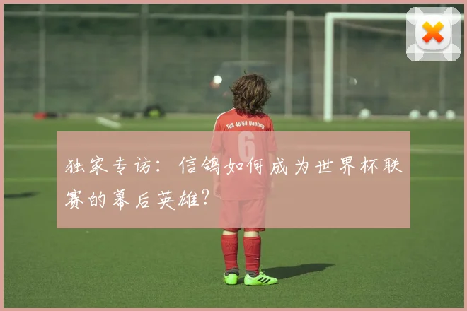 独家专访:信鸽如何成为世界杯联赛的幕后英雄?
