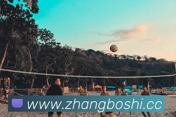 九游j9备用官网平台生态图